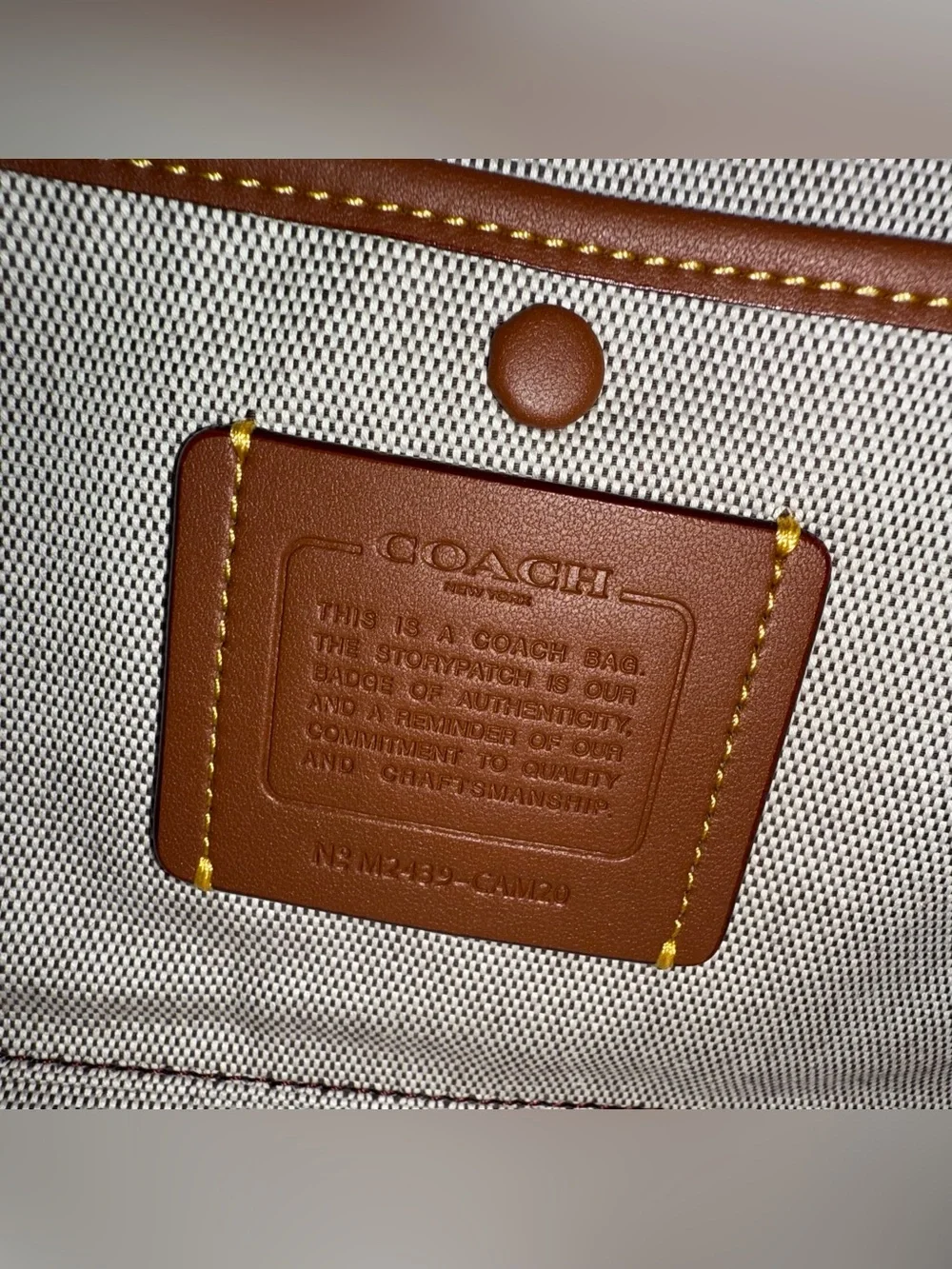 Coach Pocket Juliet Bag 30